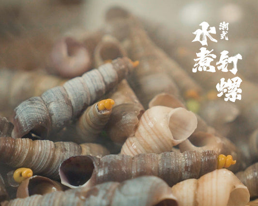 潮式白灼釘螺 Boiled Turritella Snail