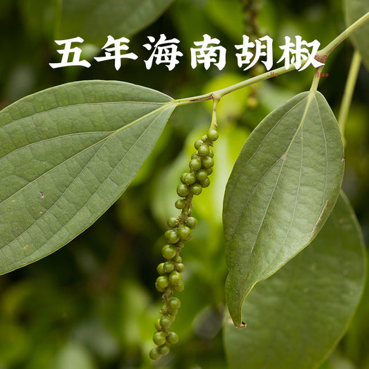 White Pepper Powder